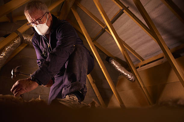 Best Spray Foam Insulation in Forest Heights, TX