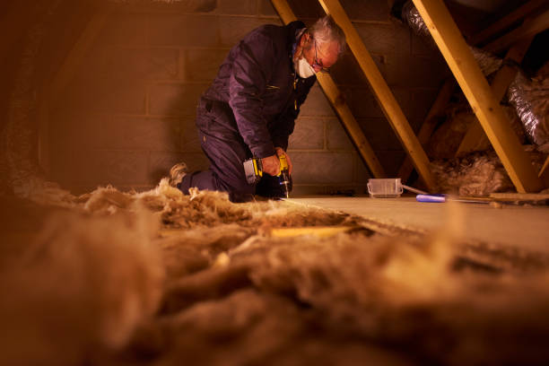 Types of Insulation We Offer in Forest Heights, TX